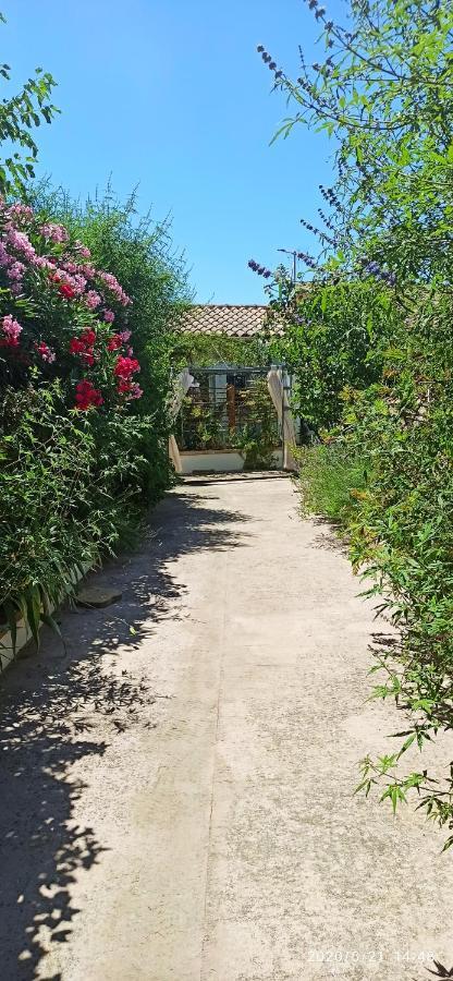 Secret Garden: Chez Gilles et Tra's Charming Zen Retreat Apartment Valergues Exterior photo